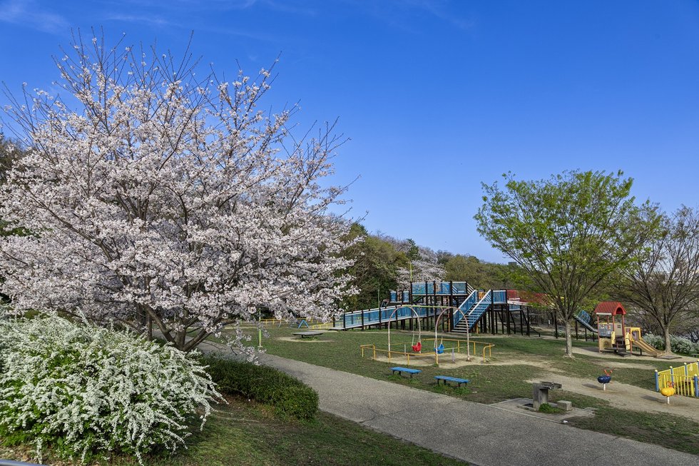 天白公園