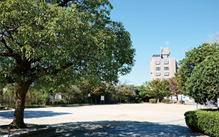 和白公園
