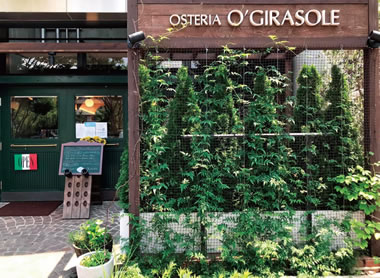 OSTERIA O’GIRASOLE（オステリア オ ジラソーレ）