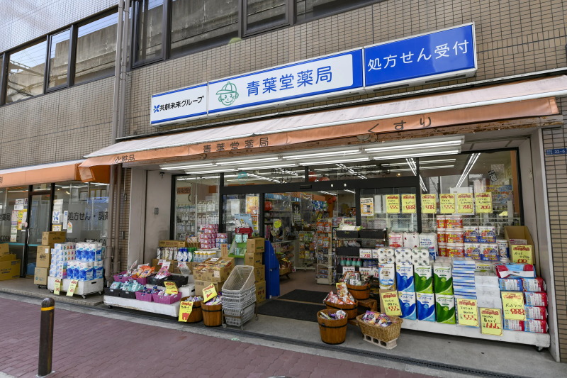 青葉堂薬局北田辺店