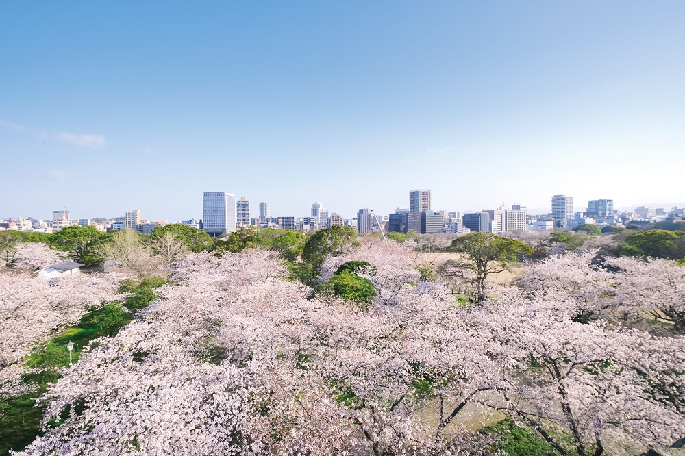 舞鶴公園