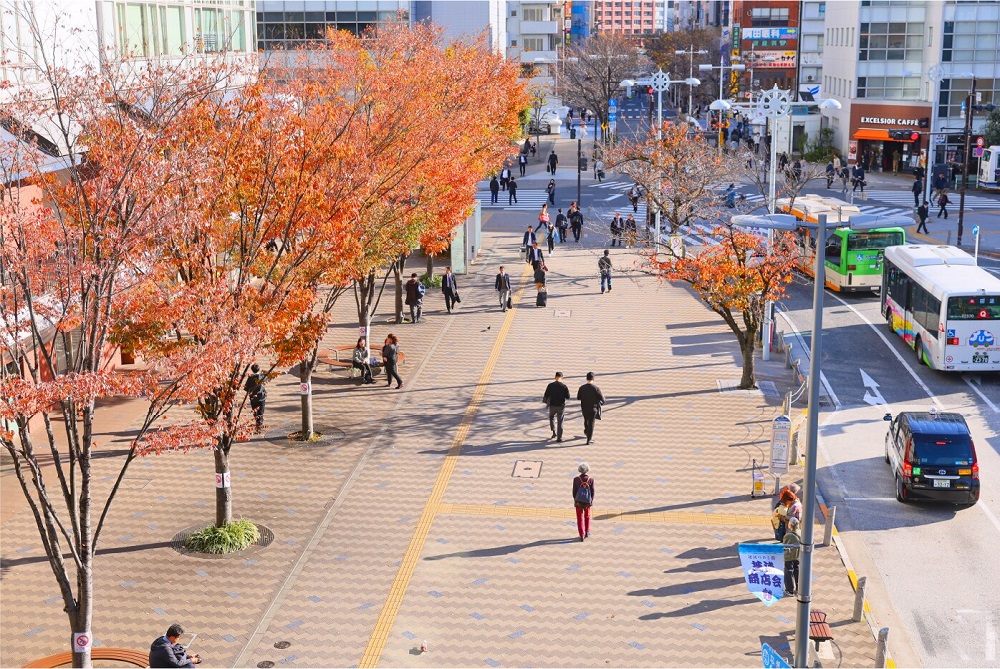 田町なぎさ通り
