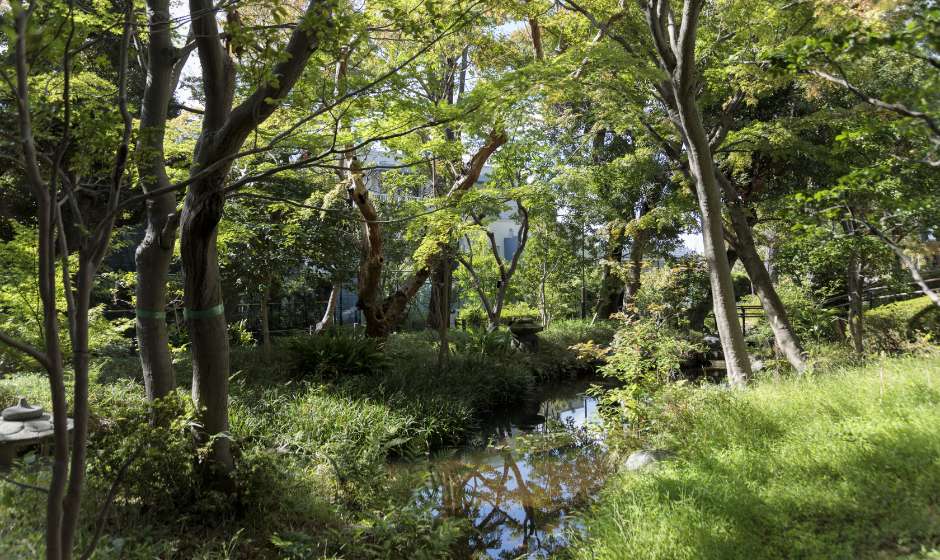 蘇峰公園