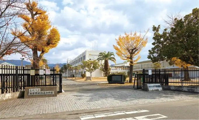愛媛大学教育学部附属幼稚園・小学校