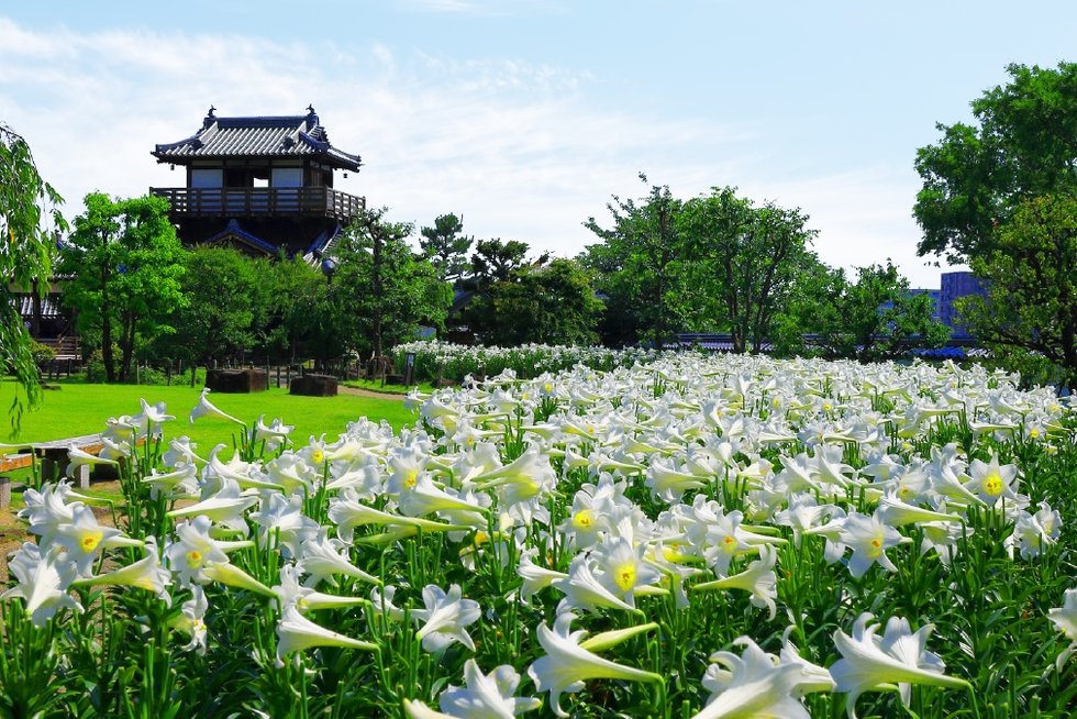 池田城跡公園