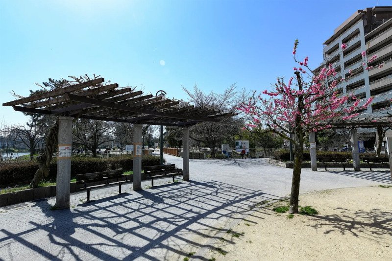 桃ヶ池公園