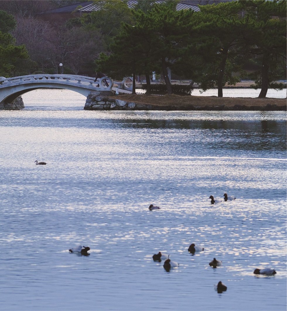 大濠公園