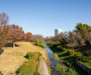 県立相模三川公園