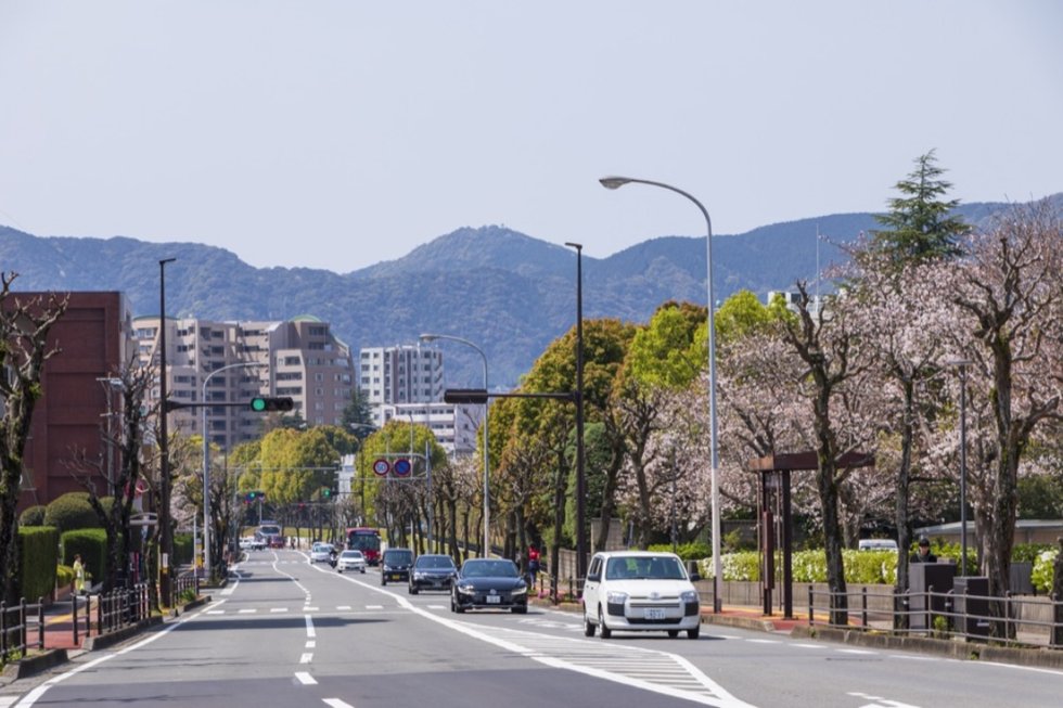 文教通り