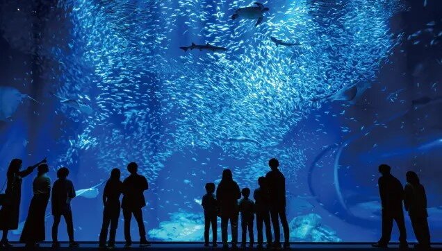 アクアワールド茨城県大洗水族館