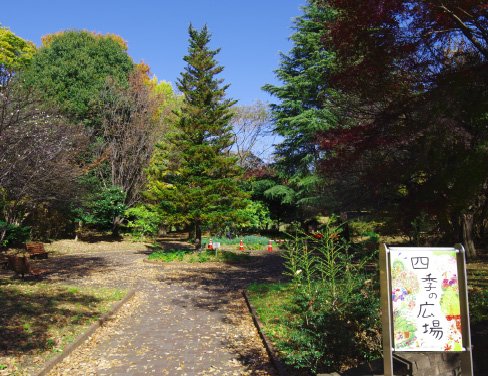 東京都立大泉中央公園