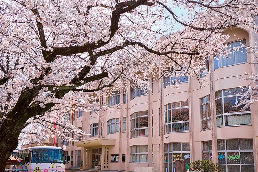桜幼稚園
