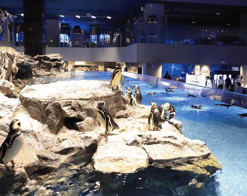 東京スカイツリータウン すみだ水族館