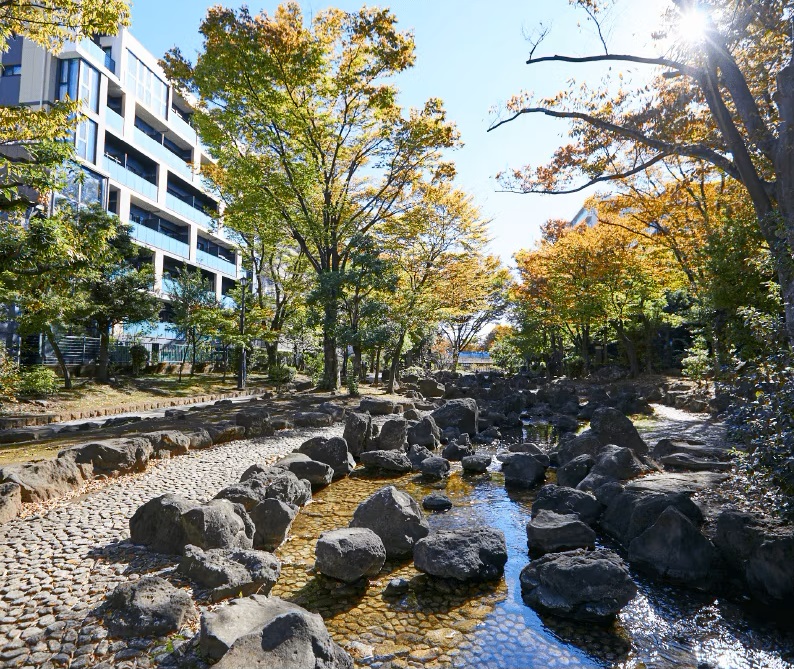 大横川親水公園