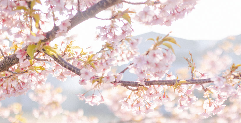 大宮夕日が丘広場