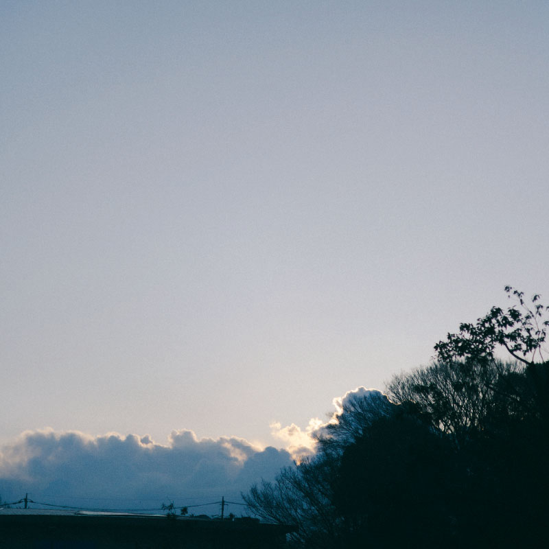 和田堀調節池壁打ち庭球練習場周辺