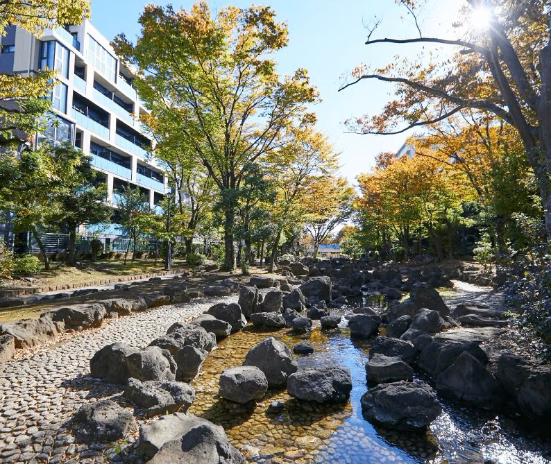 大横川親水公園