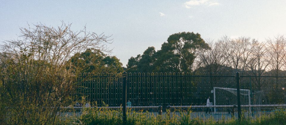 和田堀公園野球場周辺