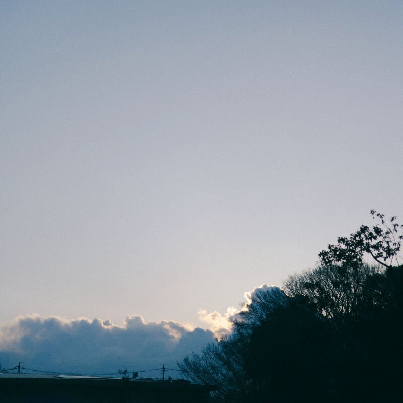 和田堀調節池壁打ち庭球練習場周辺