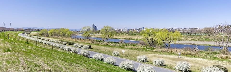 多摩川緑地