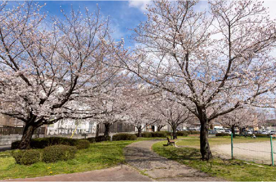長根公園