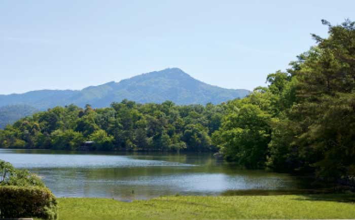 宝が池公園