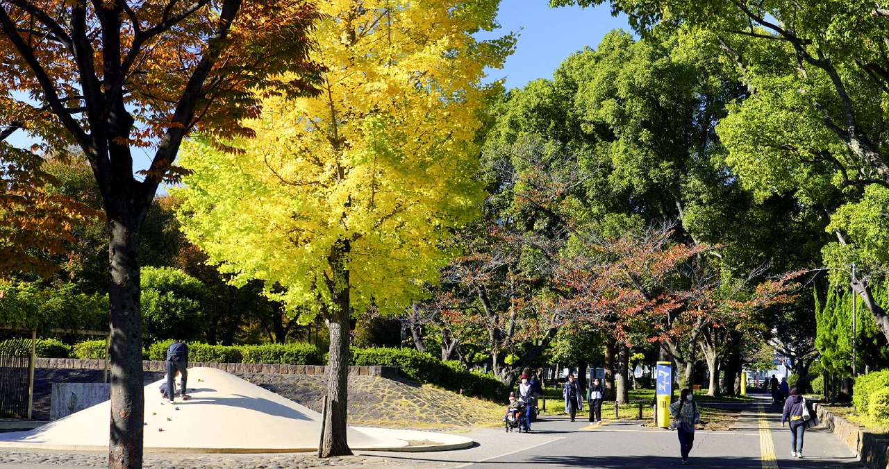 南砂三丁目公園