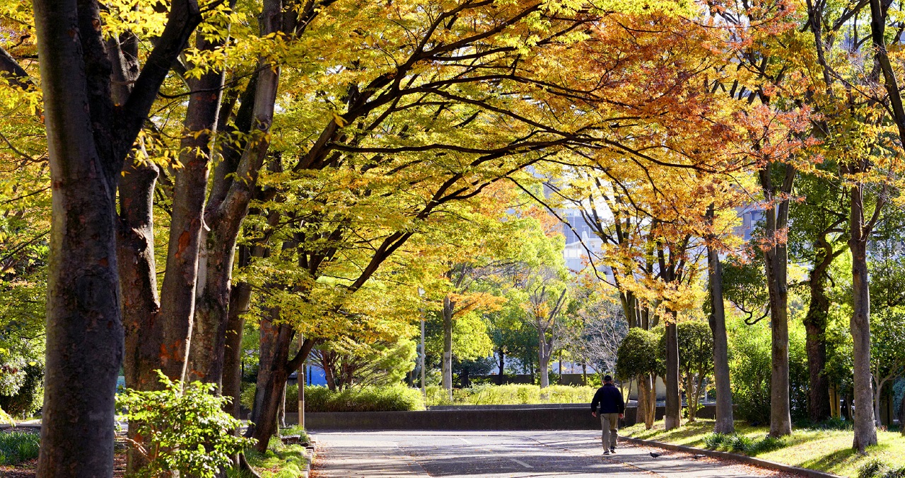 仙台堀川公園