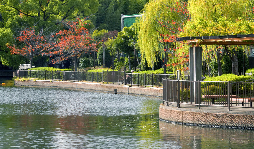 横十間川親水公園