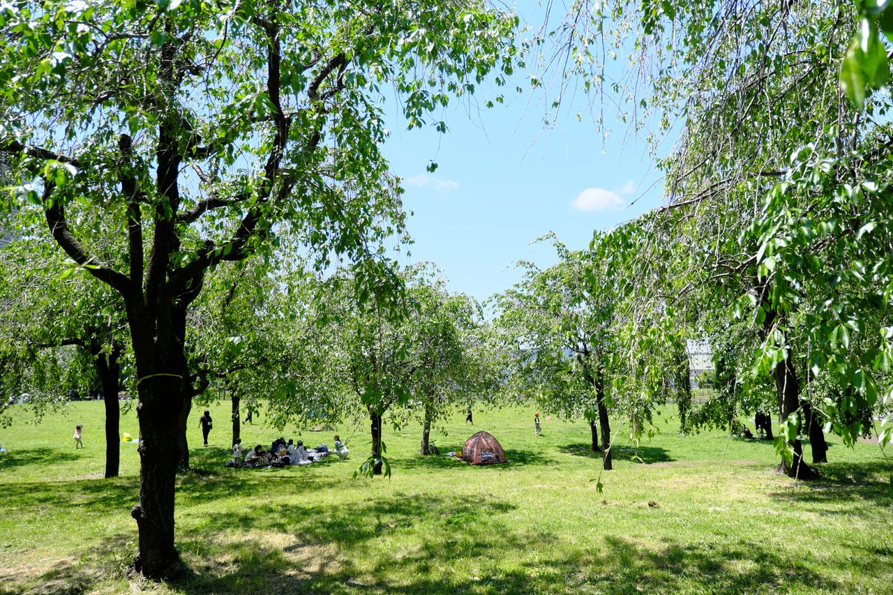 屋久の原公園(町屋)