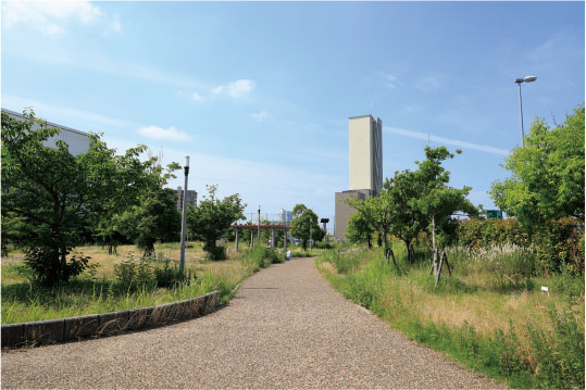 新家西公園