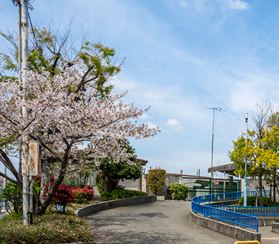 朝日橋公園