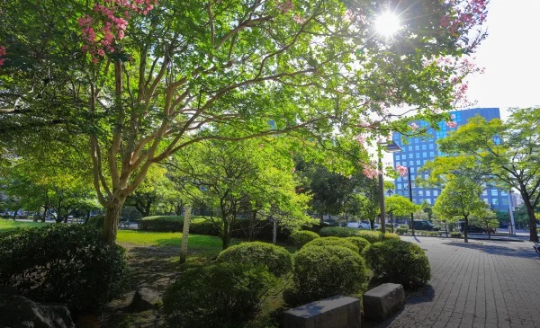勾当台公園