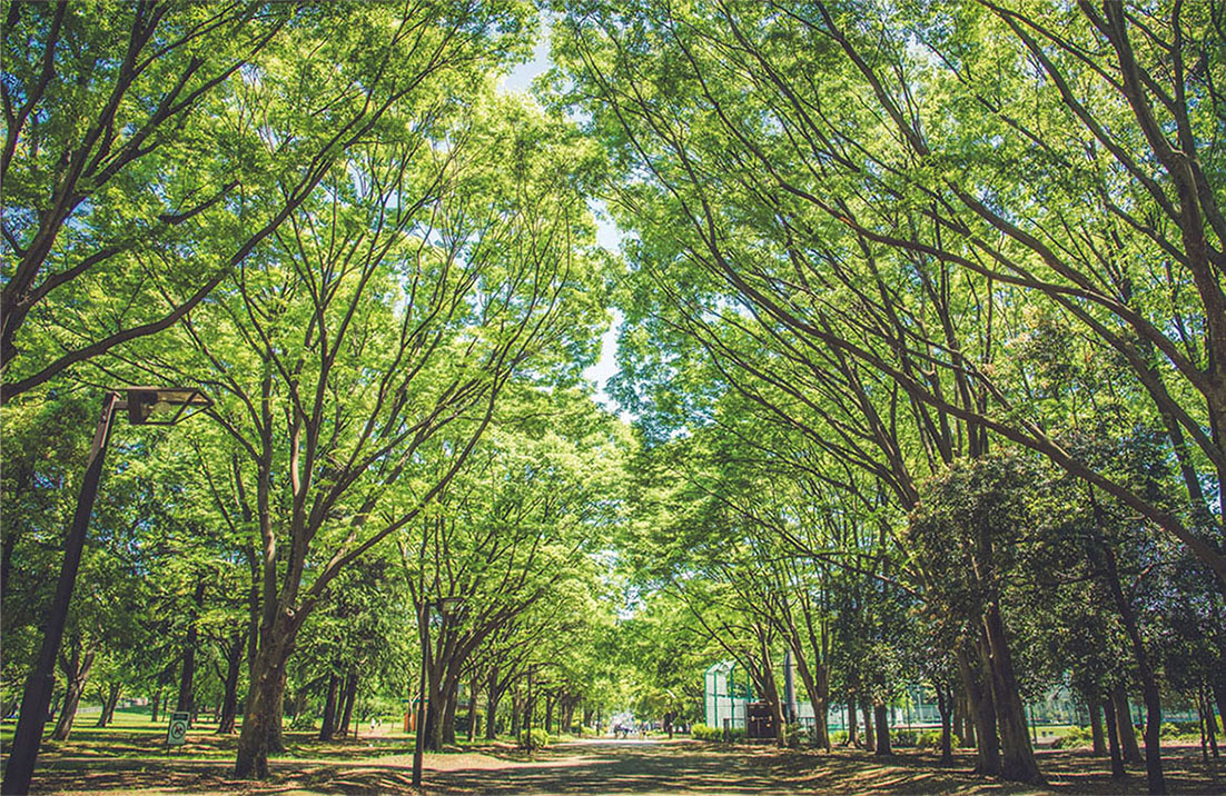 光が丘公園