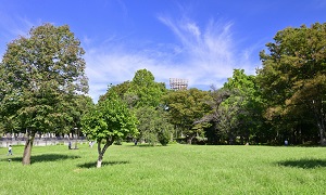 城北中央公園