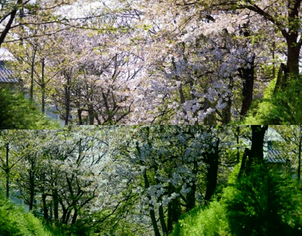 白川疎水