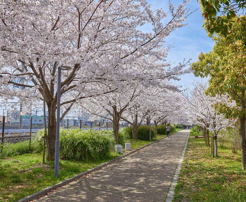 明和池公園