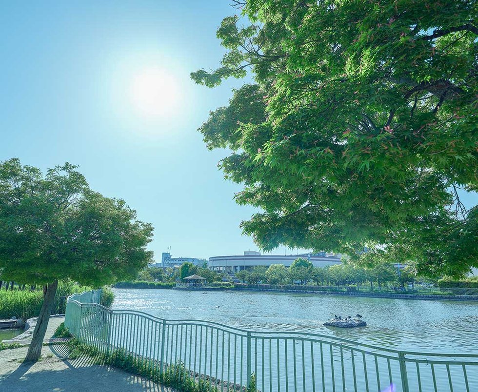 市場池公園