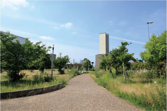 新家西公園