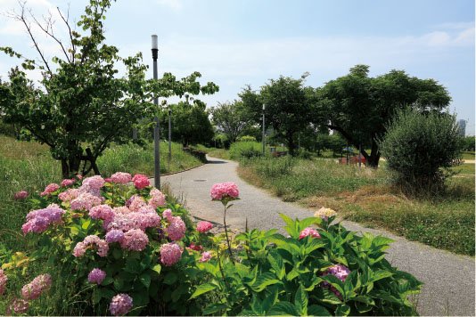 高見新家公園