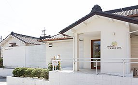 The Garden TERRASOL