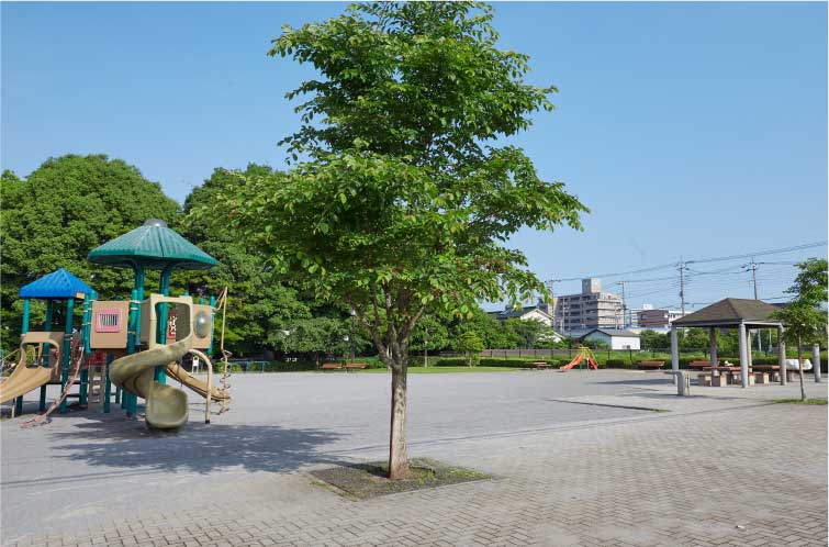 駅東3号児童公園