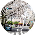 滝野川さくら通り商栄会