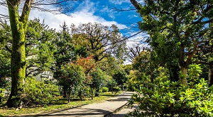 玉川上水旧水路緑道