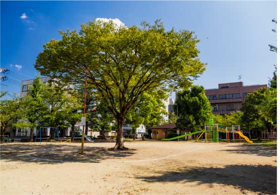 南方北公園