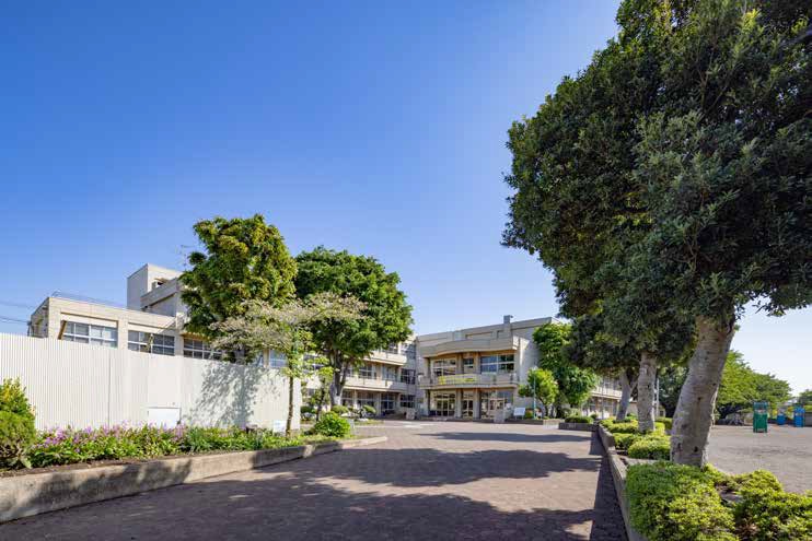相模原市立若松小学校