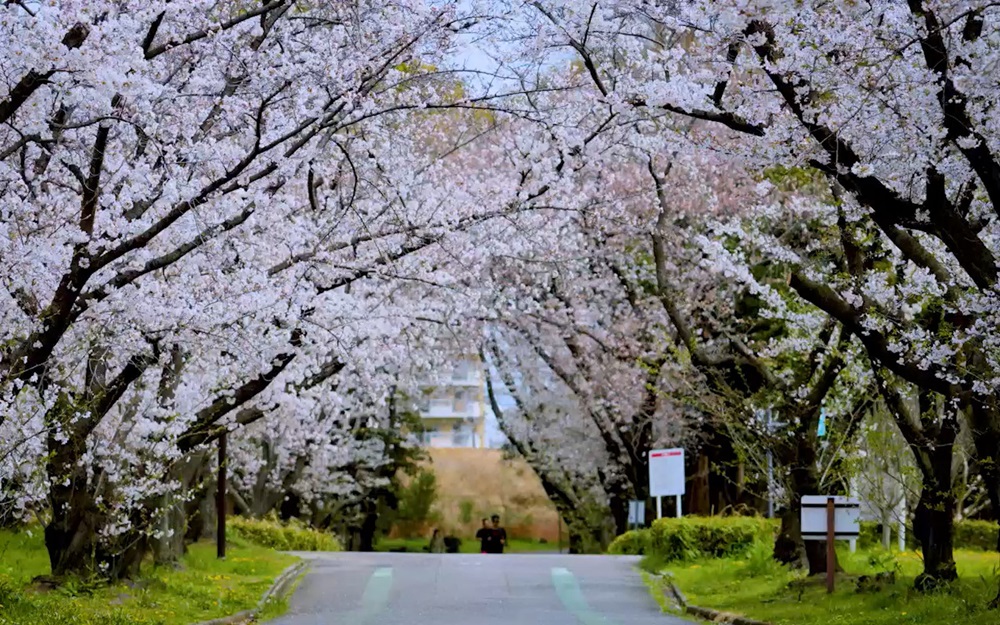 庄内緑地