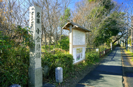 玉川上水緑道