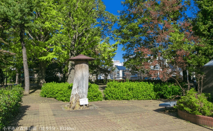 小平市森林公園