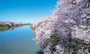 元荒川河川敷公園（緑町）